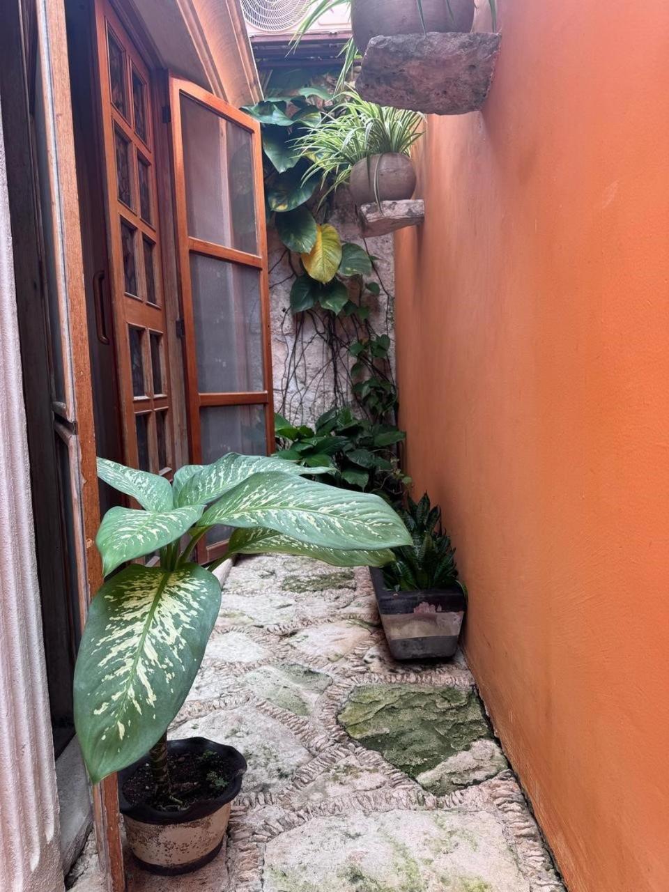 Hotel Casa Mallorca Cancun Exterior photo